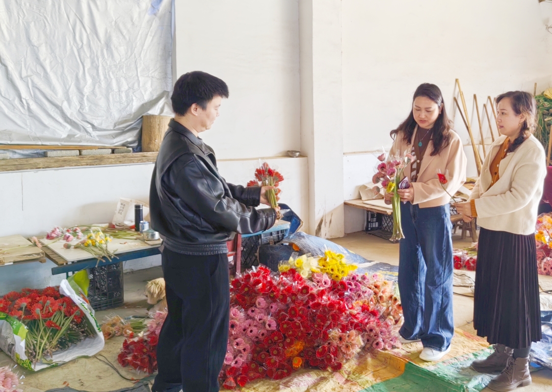 訪企拓崗 園林園藝學院赴湖北需之生物科技開發有限公司開展企業調研與設備優化探討